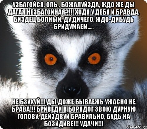 Оля старше иры. Узбагойся. Узбагойся Мем с лемуром. Узбагойся ты еще не Старая с днем рождения.