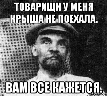 Ленин хочет видеть в кишлаке. Ленин товарищи. Товарищ Мем. Ленин мемы. Ленин Мем товарищи.