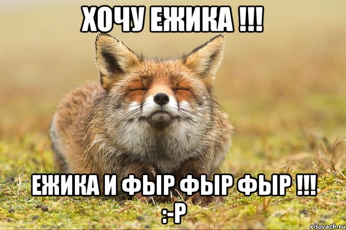 хочу Ежика !!! Ежика и фыр фыр фыр !!! :-P