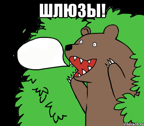 шлюзы! , Комикс медведь из кустов
