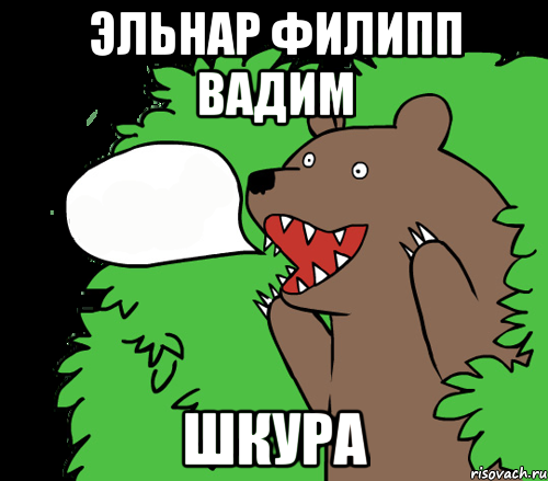 Эльнар Филипп Вадим Шкура, Комикс медведь из кустов