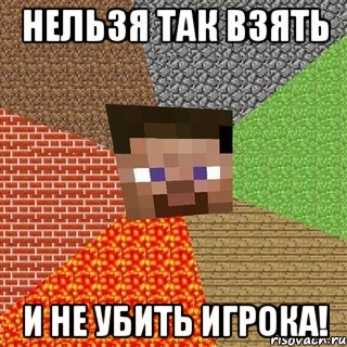 Нельзя так взять и не убить Игрока!, Мем Миникрафтер