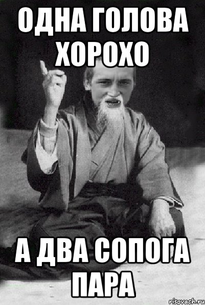 одна голова хорохо а два сопога пара, Мем Мудрий паца