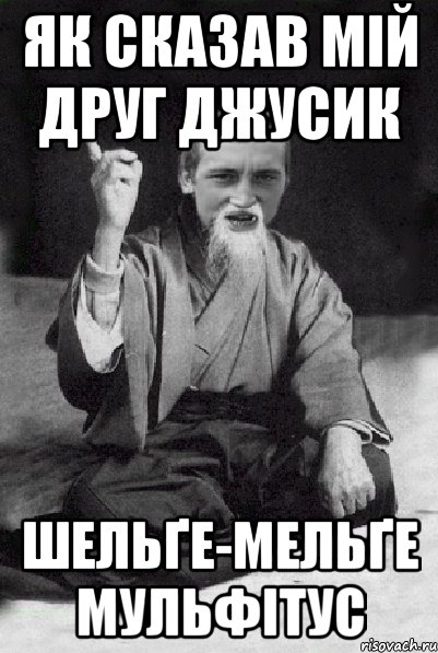 як сказав мій друг джусик шельґе-мельґе мульфітус, Мем Мудрий паца