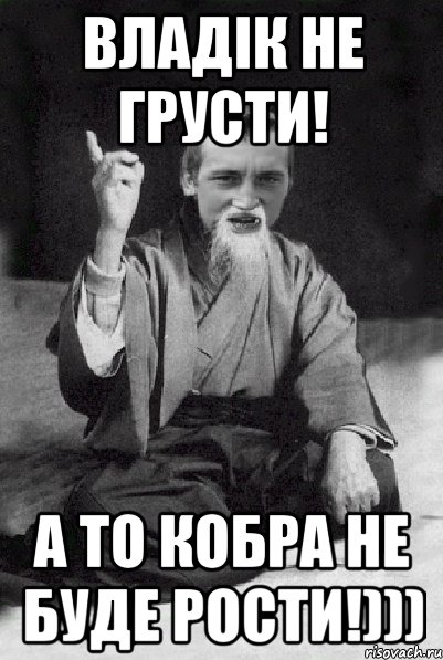 Владік не грусти! А то кобра не буде рости!))), Мем Мудрий паца