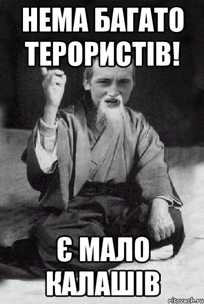 Нема багато терористів! Є мало калашів, Мем Мудрий паца