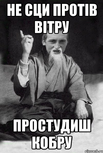 не сци протiв вiтру простудиш кобру, Мем Мудрий паца