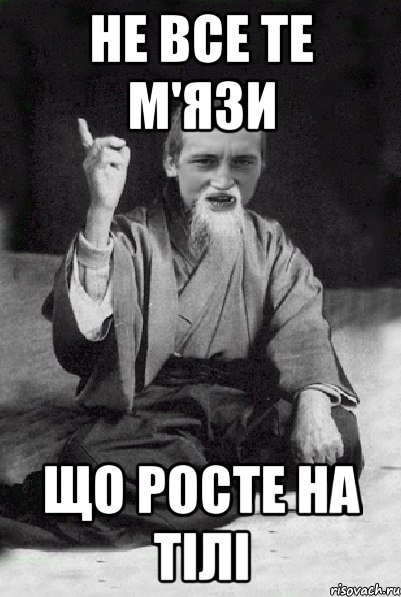 Не все те м'язи Що росте на тілі, Мем Мудрий паца