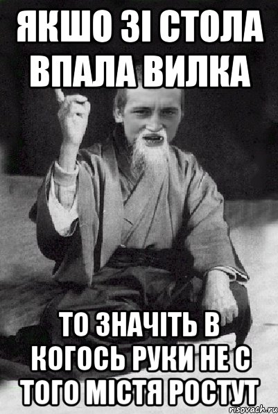 Якшо зі стола впала вилка то значіть в когось руки не с того містя ростут, Мем Мудрий паца