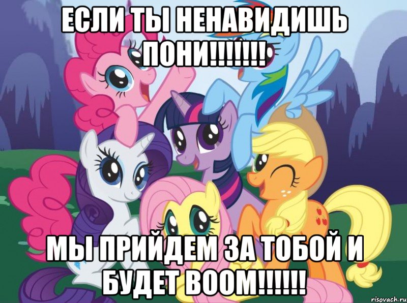 ЕСЛИ ТЫ НЕНАВИДИШЬ ПОНИ!!!!!!! МЫ ПРИЙДЕМ ЗА ТОБОЙ И БУДЕТ BOOM!!!!!!, Мем My little pony