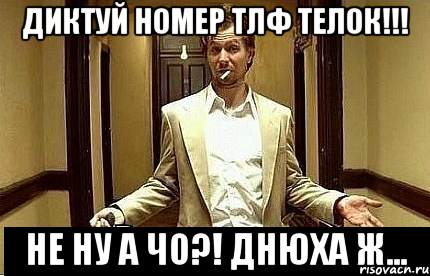 Диктуй номер тлф телок!!! Не ну а чо?! Днюха ж..., Мем Ну чо