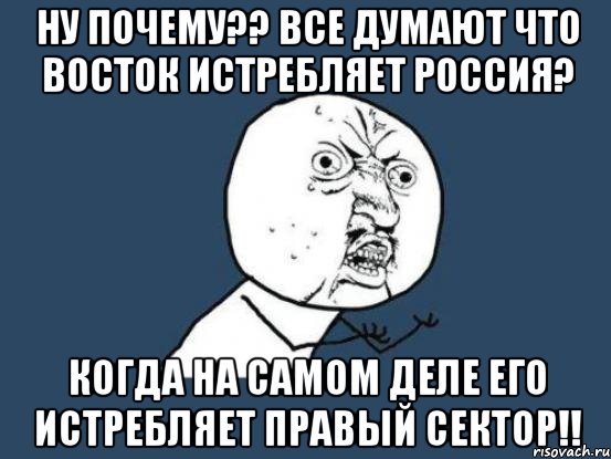 Ну почему?? все думают что Восток истребляет Россия? когда на самом деле его истребляет Правый сектор!!, Мем Ну почему