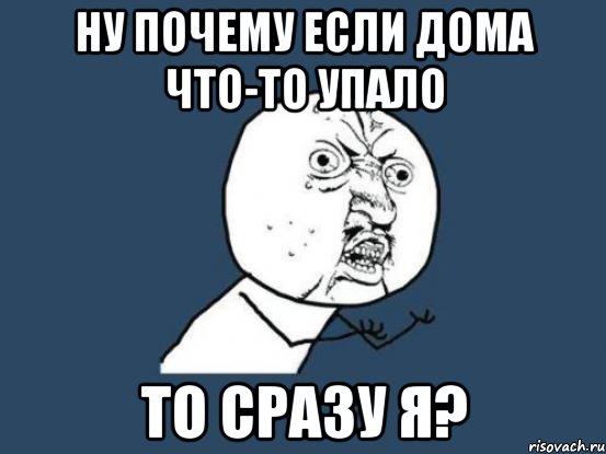 ну почему если дома что-то упало то сразу я?, Мем Ну почему