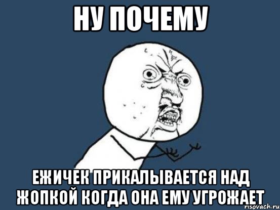 ну почему ежичек прикалывается над жопкой когда она ему угрожает, Мем Ну почему