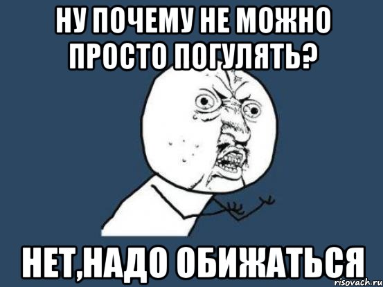 Ну почему не можно просто погулять? Нет,надо обижаться, Мем Ну почему