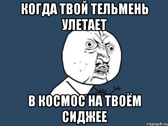 Когда твой тельмень улетает В космос на твоём сиджее, Мем Ну почему