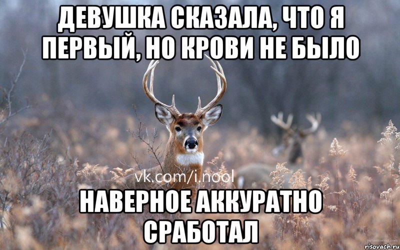 девушка сказала, что я первый, но крови не было наверное аккуратно сработал, Мем   Наивный олень