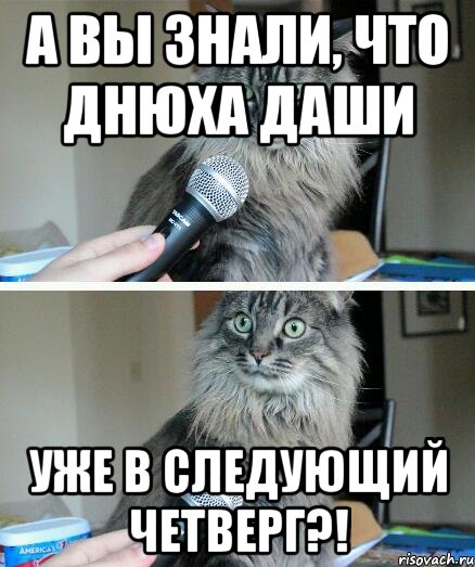 А вы знали, что Днюха Даши Уже в следующий четверг?!, Комикс  кот с микрофоном