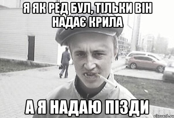 я як ред бул, тільки він надає крила а я надаю пізди, Мем Пацанська философия