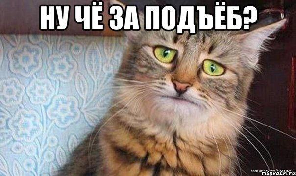 ну чё за подъёб? , Мем  кот печаль