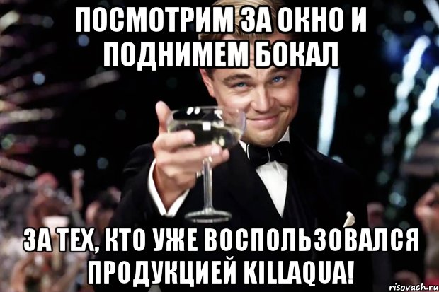 Посмотрим за окно и поднимем бокал за тех, кто уже воспользовался продукцией KILLAQUA!, Мем Великий Гэтсби (бокал за тех)