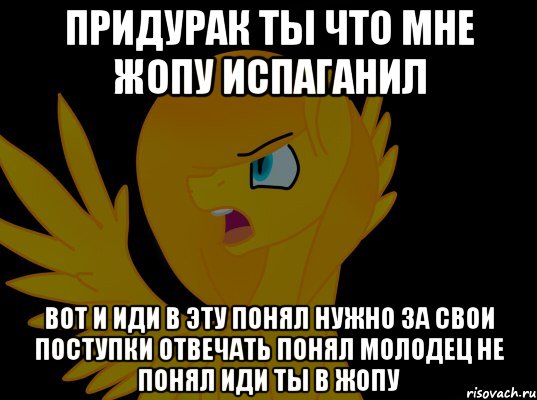 придурак ты что мне жопу испаганил вот и иди в эту понял нужно за свои поступки отвечать понял молодец не понял иди ты в жопу, Мем  Пони1