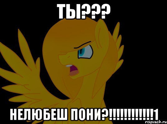 ты??? нелюбеш пони?!!!!!!!!!!!!1, Мем  Пони1