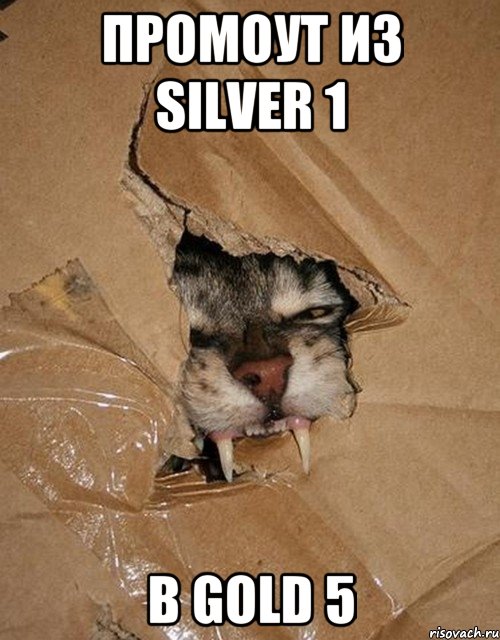 Промоут из Silver 1 в Gold 5