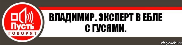 Владимир. Эксперт в ебле с гусями., Комикс   пусть говорят