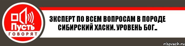 Зксперт по всем вопросам в породе сибирский хаски. Уровень бог.., Комикс   пусть говорят