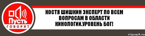 Костя Шишкин эксперт по всем вопросам в области кинологии.Уровень бог!, Комикс   пусть говорят