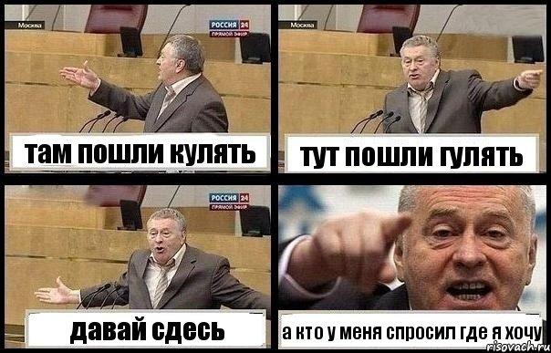 там пошли кулять тут пошли гулять давай сдесь а кто у меня спросил где я хочу, Комикс с Жириновским