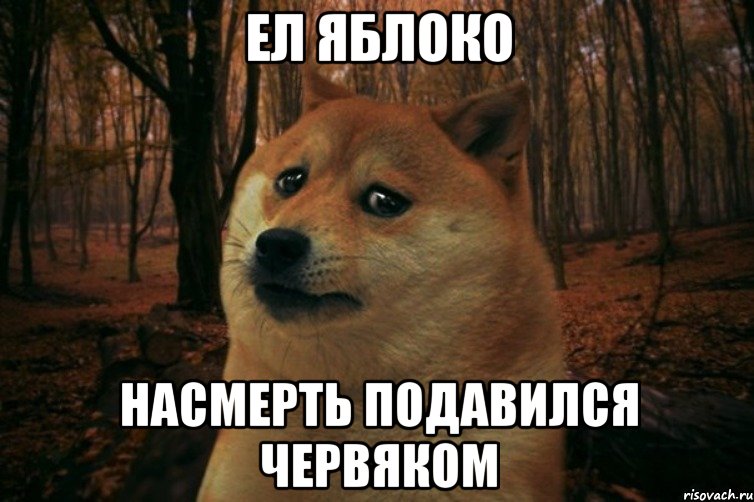 Ел яблоко Насмерть подавился червяком, Мем SAD DOGE