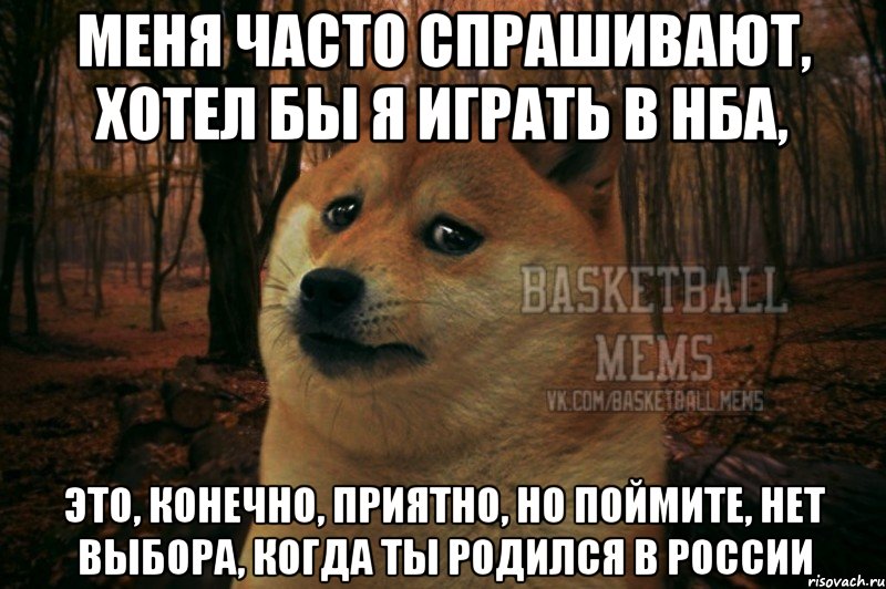 Что часто спрашивают. Мемы с собаками. Меня часто спрашивают Мем. Мемы про учебу с собаками. Меня часто спрашивают.
