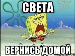 Света приезжай