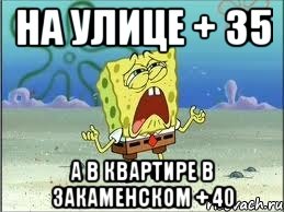 На улице + 35 А в квартире в Закаменском + 40, Мем Спанч Боб плачет