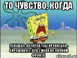 Понравился попроси. Что у тебя на личном. Как у тебя на личном. Как у тебя дела на личном. На личном фронте все отлично весь личный фронт занят мною лично мемы.