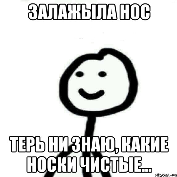 Залажыла нос Терь ни знаю, какие носки чистые..., Мем Теребонька (Диб Хлебушек)