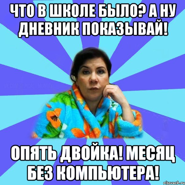 Что в школе было? А ну дневник показывай! Опять двойка! Месяц без компьютера!, Мем типичная мама