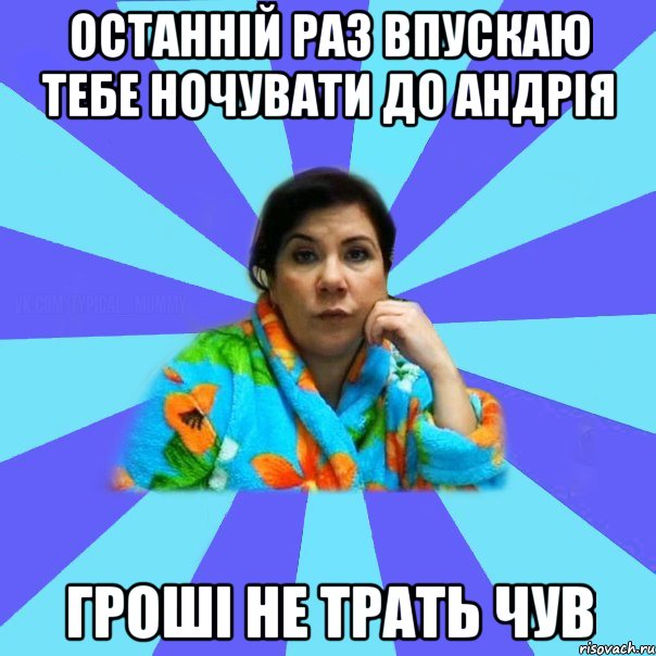 останній раз впускаю тебе ночувати до андрія гроші не трать чув, Мем типичная мама