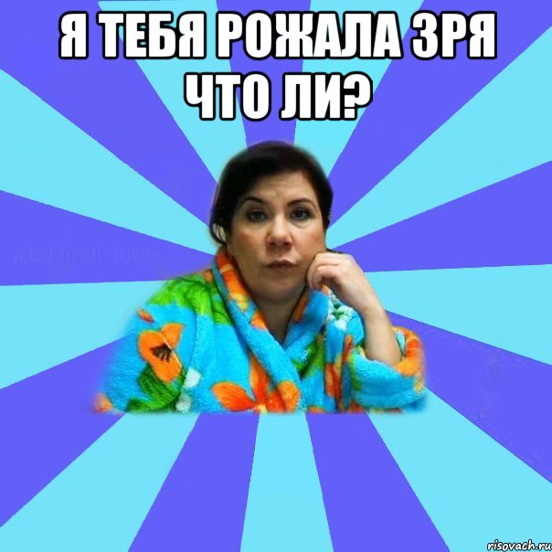 Я тебя рожала зря что ли? , Мем типичная мама