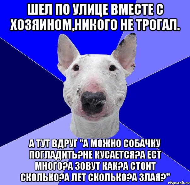 Не кусайтесь ректор. Ужаленная собака мемы. Хозяин сказал он не кусается. Мемы с собаками.