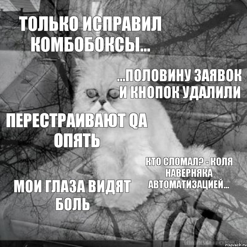 Видит боль. Безысходность в глазах. Мои глаза видят боль. Глаз мой все видит!!!.