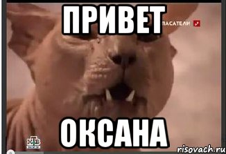 Смешные Картинки Оксаны