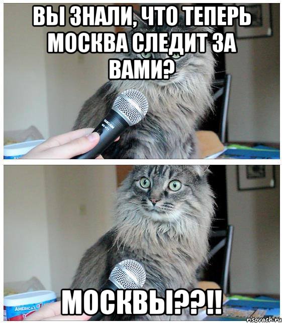 Вы знали, что теперь Москва следит за вами? МОСКВЫ??!!, Комикс  кот с микрофоном