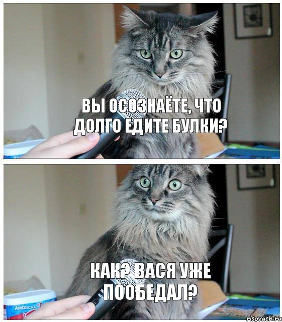 Вы осознаёте, что долго едите булки? Как? Вася уже пообедал?, Комикс  кот с микрофоном