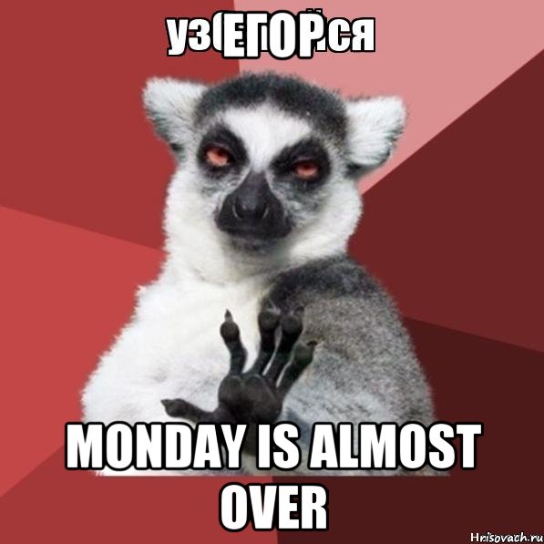 Егор Monday is almost over, Мем Узбагойзя