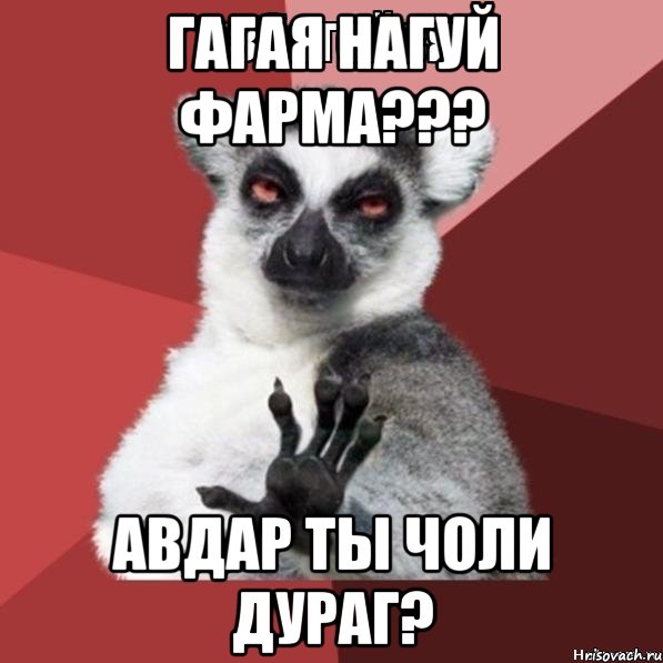 гагая нагуй фарма??? авдар ты чоли дураг?, Мем Узбагойзя