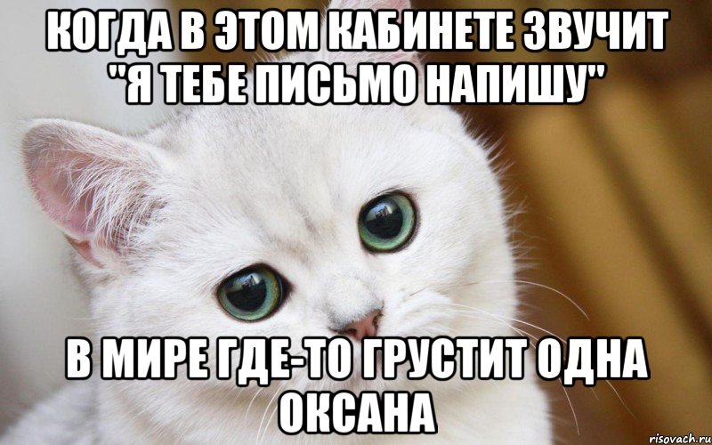 когда в этом кабинете звучит "я тебе письмо напишу" в мире где-то грустит одна Оксана, Мем  В мире грустит один котик