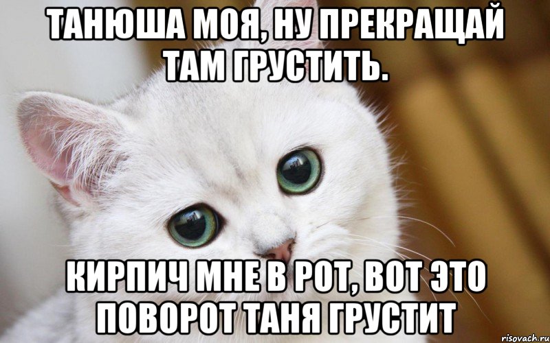 Танюша моя, ну прекращай там грустить. Кирпич мне в рот, вот это поворот Таня грустит, Мем  В мире грустит один котик